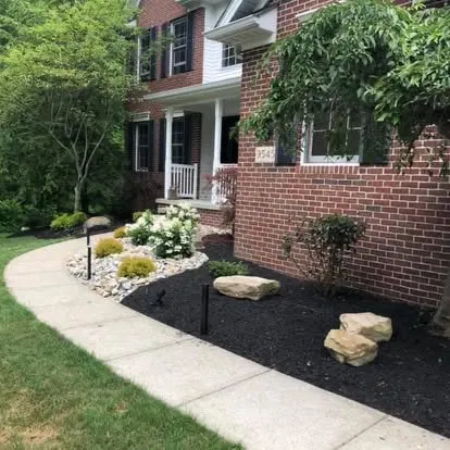 Fresh mulch bed with curved edging and ornamental plantings
